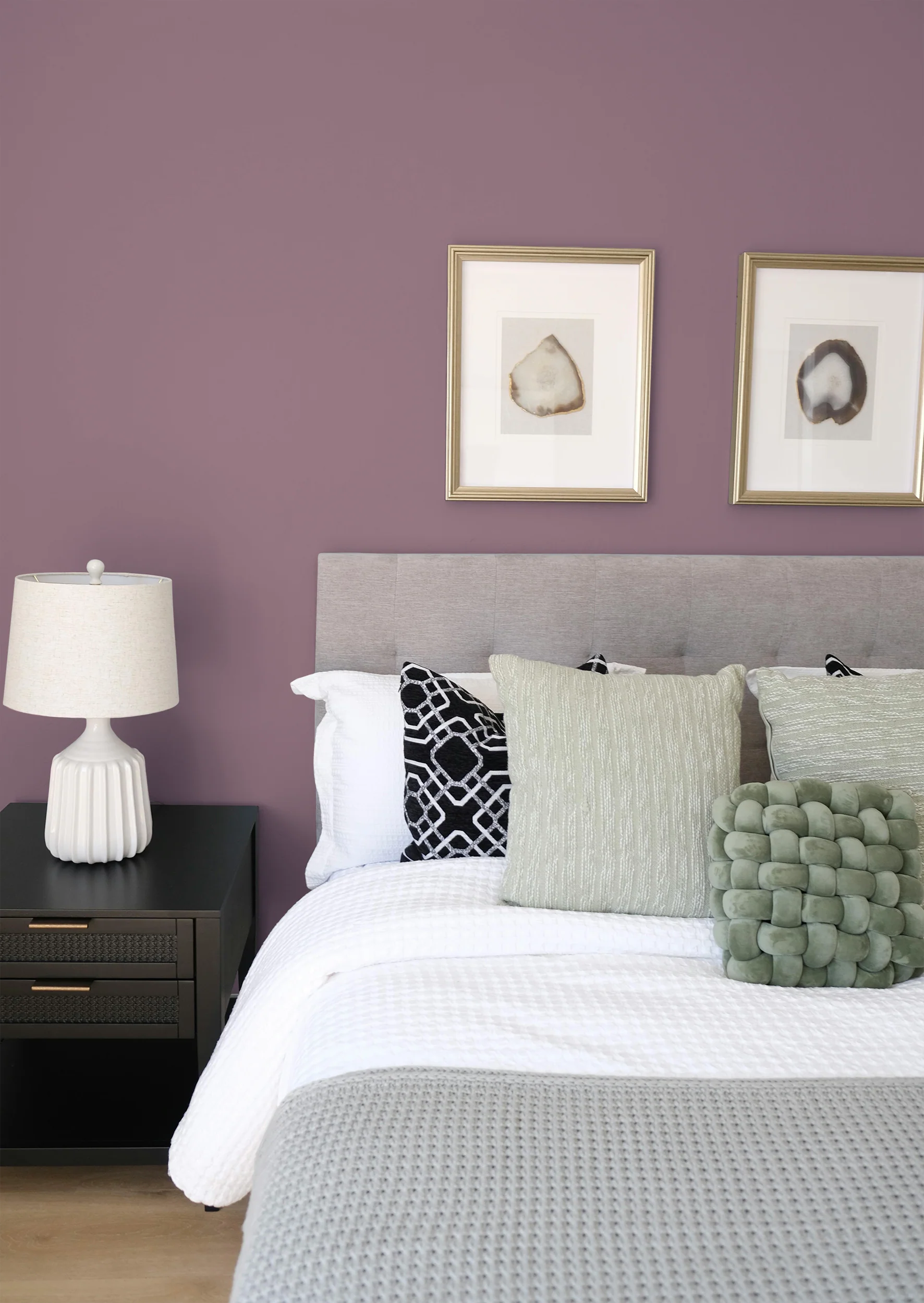 Ballet - Peinture biosourcée murs et plafonds - Image 4