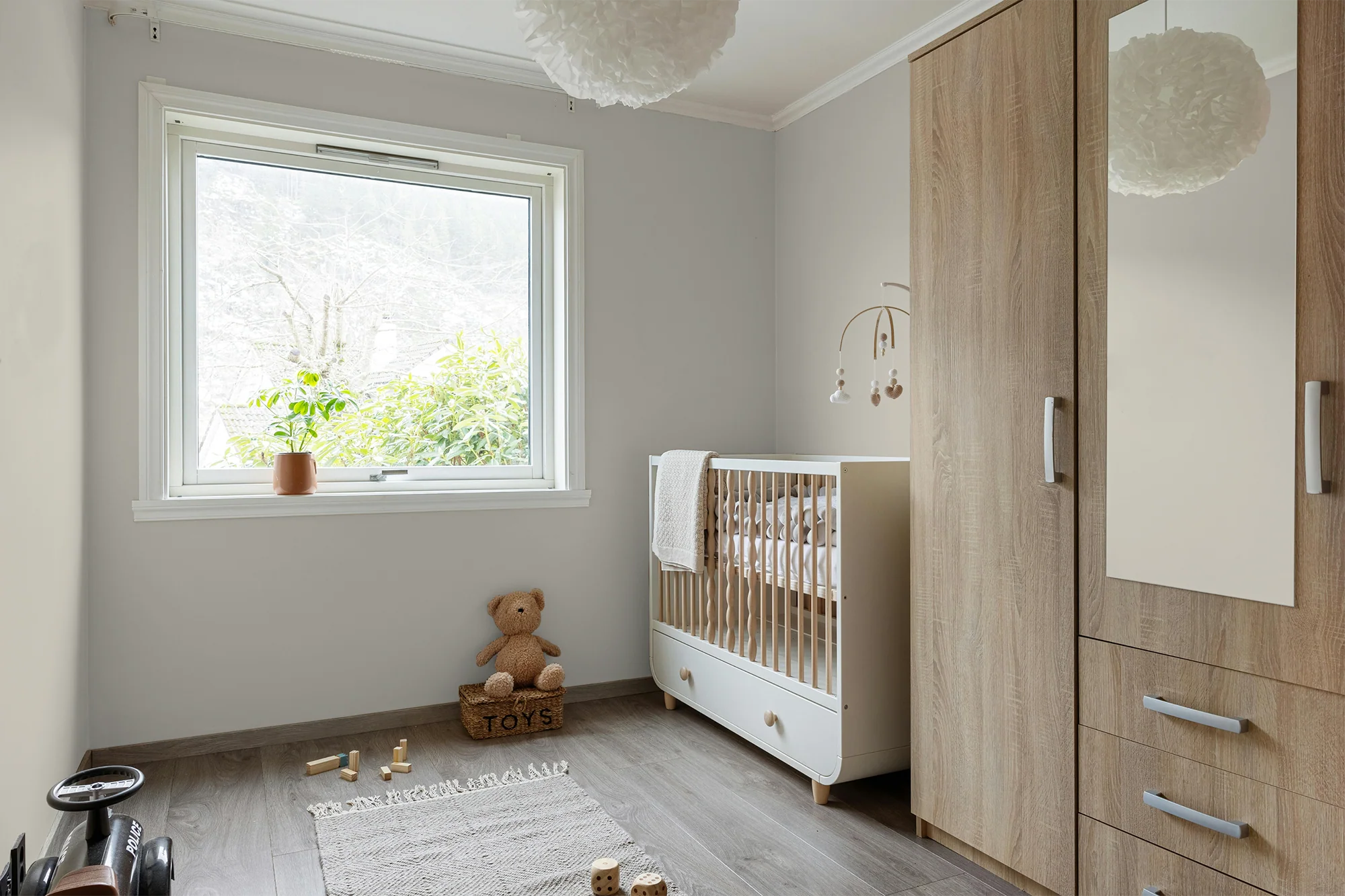 Cardamome - Peinture biosourcée murs et plafonds - Image 5