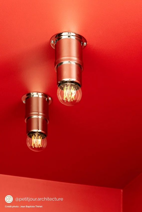 Grive - Peinture biosourcée murs et plafond - Image 4