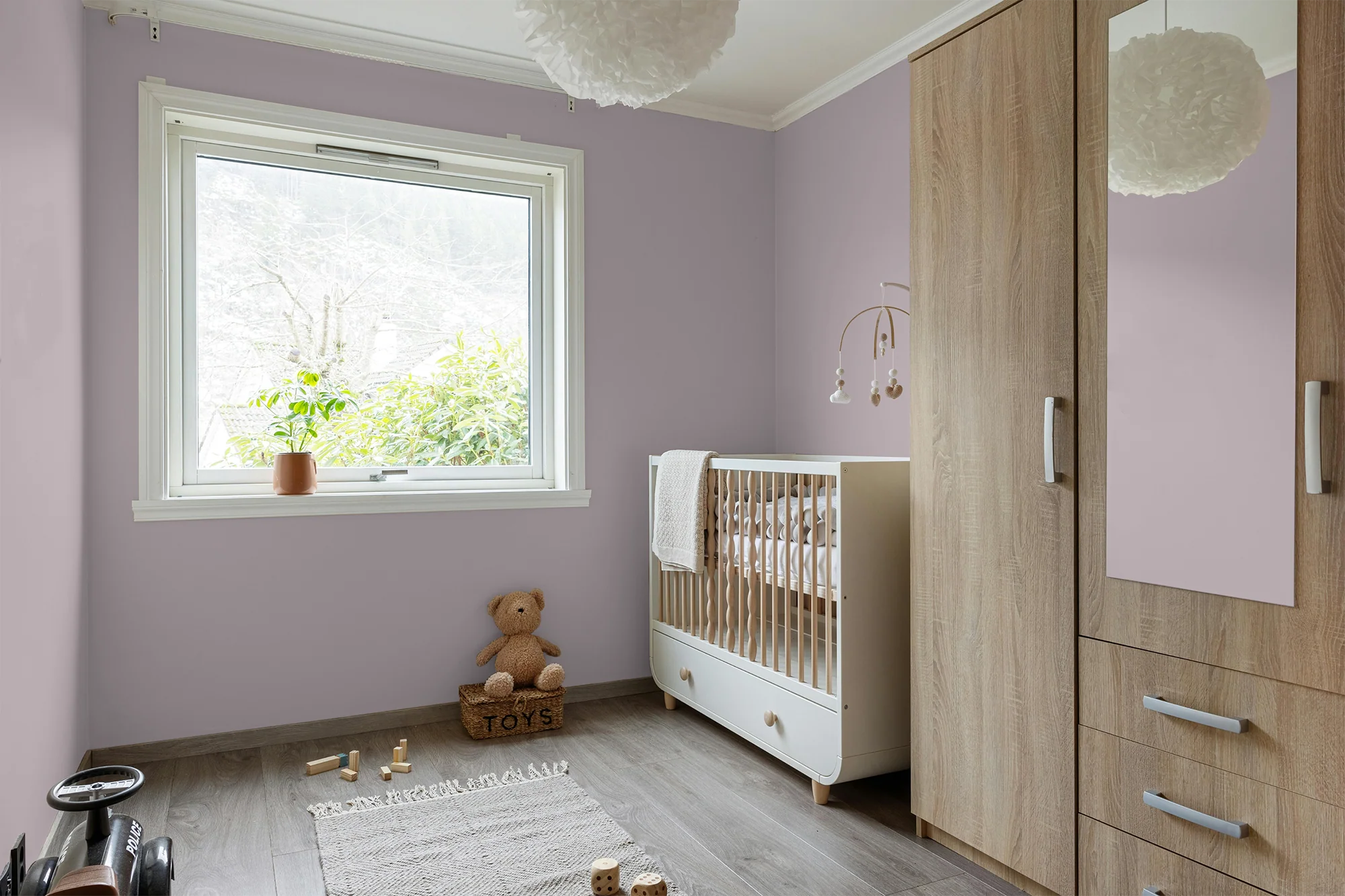 Malvacée - Peinture biosourcée murs et plafonds - Image 5