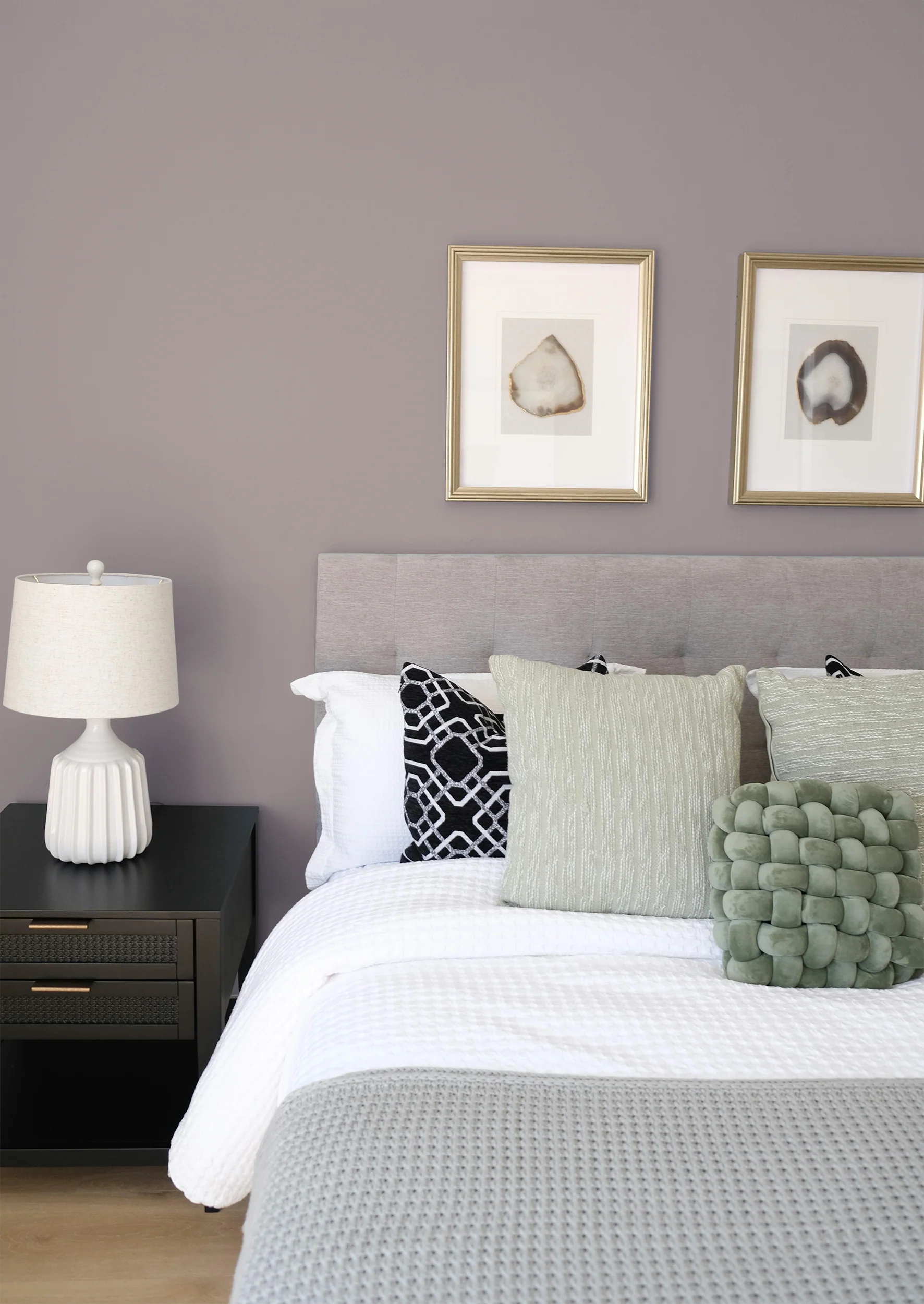 Vanillier - Peinture biosourcée murs et plafond - Image 5